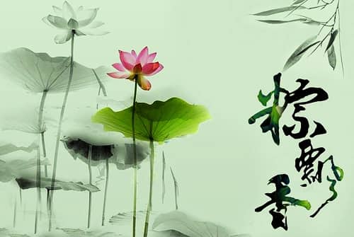 讯维恭祝广大客户端午节快乐